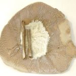 Exhibition ceramics by Nancy Solway